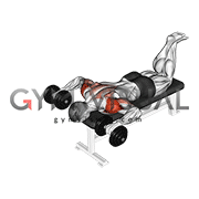 Dumbbell Face Down Lying Shoulder Press (male)