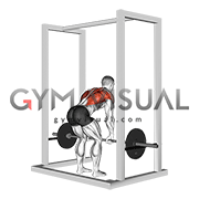 Barbell Deadstop Row with Rack (male)