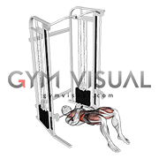 Cable Pallof Press with Glute Bridge