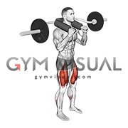 Safety bar deals front squat