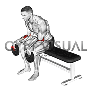 Weighted Seated Supination