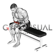 Weighted Seated One Arm Wrist Curl