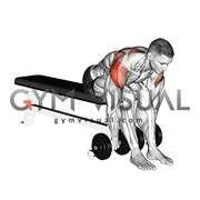 Dumbbell Seated Bent Over Rear Delt Row