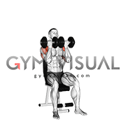 Dumbbell Seated Close Grip Press