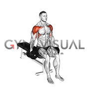 Dumbbell Seated Lateral to Front Raise
