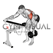 Dumbbell One Arm Reverse Fly (with support) (VERSION 2)