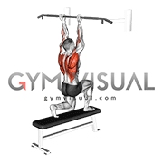 Assisted Chin up (low bar position)