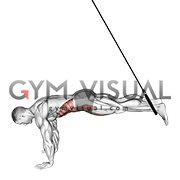 Ring Reverse Ab Rollout