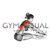 Band Seated Wide Grip Row (female)