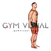 Bodyweight Rear Lunge