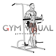 Captains Chair Leg Raise