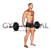 Barbell Behind The Back Shrug
