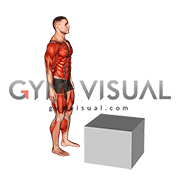 Jump on Fit Box (male)