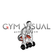 Dumbbell Deadlift (VERSION 2) (male)