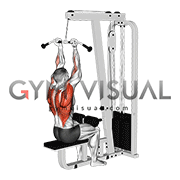 Cable Reverse Grip Pulldown