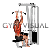 Cable Reverse Grip Pulldown