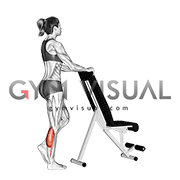 Standing Single Leg Calf Raise with Support (female)