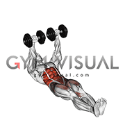 Dumbbell Floor Wiper