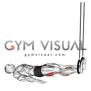 Ring Leg Curl (VERSION 2)