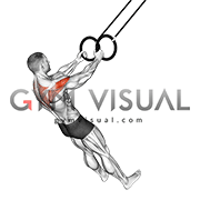Ring Reverse Fly