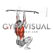 Assisted Chin-up (squat position)