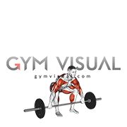 Barbell Muscle Snatch