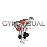 Dumbbell Deadlift Bent-over Row