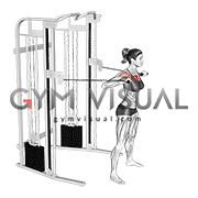 Cable Standing Chest Press