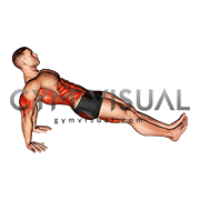 Reverse plank