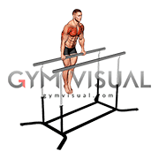 Chest Dip on Straight Bar