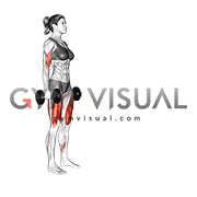 Dumbbell Lunge with Bicep Curl (female)
