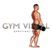 Dumbbell Single Stiff Leg Deadlift