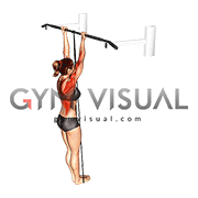 Band supported top chin ups