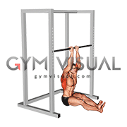 Narrow Seated Chin up