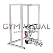 Seated Pull up (low bar position)