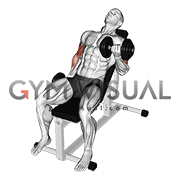 Dumbbell Incline Alternate Bicep Curl