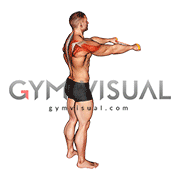 Resistance Band Pull Apart (45 degrees)