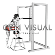 Dumbbell Glute Dominant Step-Up (female)