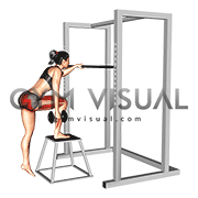 Glute hotsell step ups