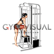 Cable Glute Dominant Step-Up (female)