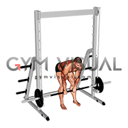 Smith Bent Over Narrow Pronated Grip Row