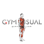 Burpee with Push-up (male)