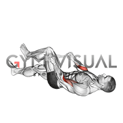 Lying Single Legs Reverse Biceps Curl with Towel