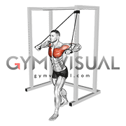 Band Low Chest Press (male)