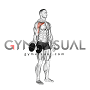 Dumbbell One Arm Low Fly