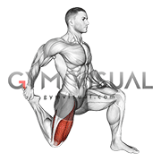 Quadriceps stretch (male)