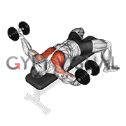Dumbbell Twisted Fly