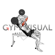 Barbell Incline Triceps Extension Skull Crusher