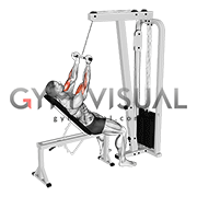 Cable Incline Close grip Curl
