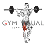 Single leg barbell discount squat